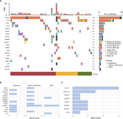 Comprehensive genomic and immunohistochemical profiles and outcomes of immunotherapy in patients with recurrent or advanced cervical cancer